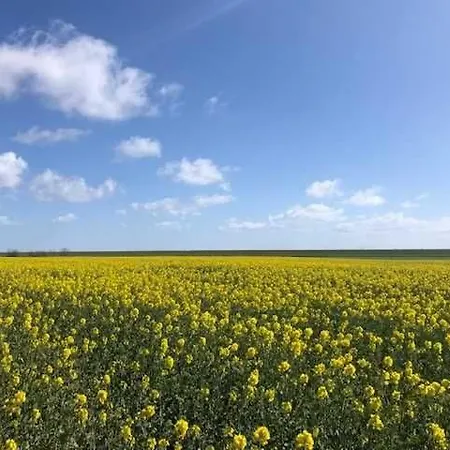 Nordseehaus Mit Piratennest Tatil Evi *