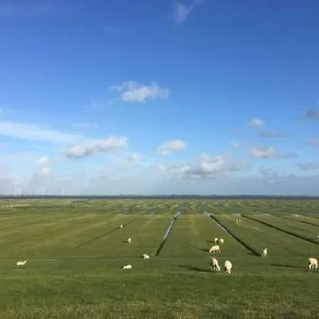 Nordseehaus Mit Piratennest Nordstrand