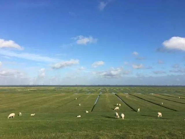 Nordseehaus Mit Piratennest Nordstrand